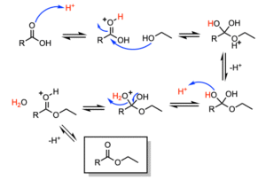 Acid to Ester (Fischer Esterification) – Organic Synthesis